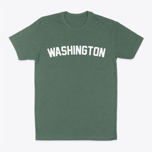 Washington Georgia Classic Curve Classic Dad T-Shirt