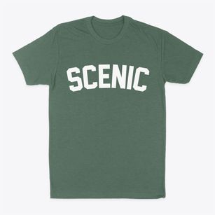 Scenic Arizona Classic Curve Classic Dad T-Shirt