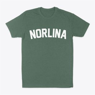 Norlina North Carolina Classic Curve Classic Dad T-Shirt