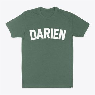 Darien Illinois Classic Curve Classic Dad T-Shirt