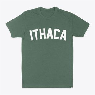 Ithaca Wisconsin Classic Curve Classic Dad T-Shirt