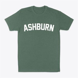 Ashburn Missouri Classic Curve Classic Dad T-Shirt