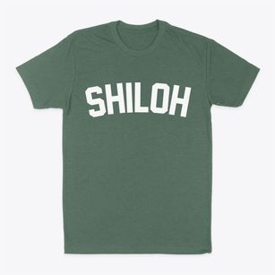 Shiloh Illinois Classic Curve Classic Dad T-Shirt