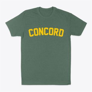 Concord New Hampshire Classic Curve Classic Dad T-Shirt