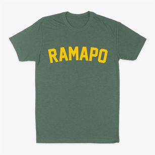 Ramapo New York Classic Curve Classic Dad T-Shirt