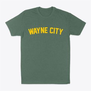 Wayne City Illinois Classic Curve Classic Dad T-Shirt