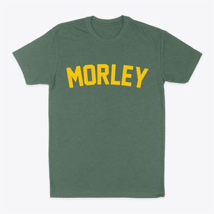 Morley Michigan Classic Curve Classic Dad T-Shirt