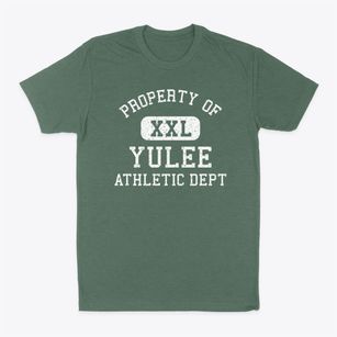 Yulee Florida Athletic Dept Classic Dad T-Shirt