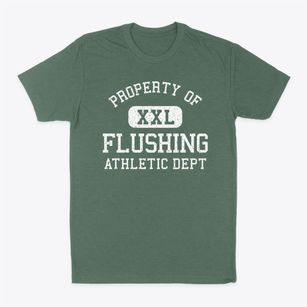 Flushing Michigan Athletic Dept Classic Dad T-Shirt