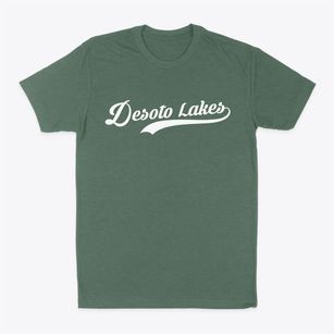Desoto Lakes Florida Vintage Team Classic Dad T-Shirt
