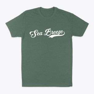 Sea Breeze North Carolina Vintage Team Classic Dad T-Shirt