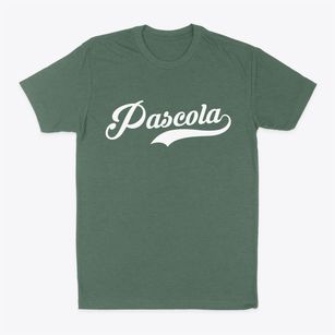Pascola Missouri Vintage Team Classic Dad T-Shirt