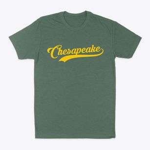 Chesapeake Virginia Vintage Team Classic Dad T-Shirt
