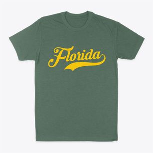Florida Missouri Vintage Team Classic Dad T-Shirt