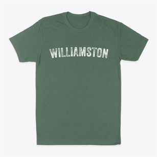 Williamston Michigan Timeless Retro Classic Dad T-Shirt
