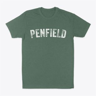 Penfield Illinois Timeless Retro Classic Dad T-Shirt