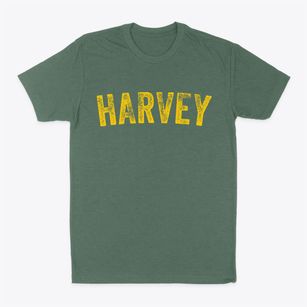 Harvey Iowa Timeless Retro Classic Dad T-Shirt