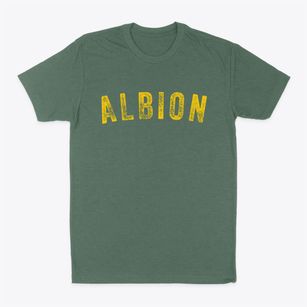 Albion Oklahoma Timeless Retro Classic Dad T-Shirt