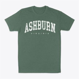Ashburn Virginia Urban Vibe Classic Dad T-Shirt