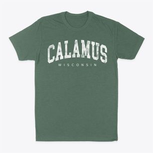 Calamus Wisconsin Urban Vibe Classic Dad T-Shirt