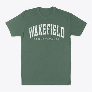Wakefield Pennsylvania Urban Vibe Classic Dad T-Shirt