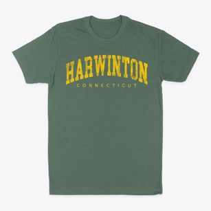 Harwinton Connecticut Urban Vibe Classic Dad T-Shirt
