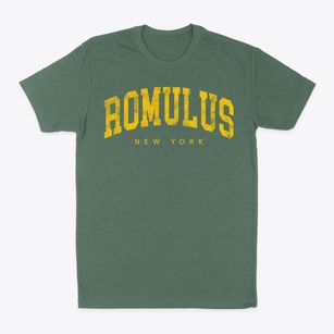 Romulus New York Urban Vibe Classic Dad T-Shirt