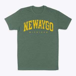Newaygo Michigan Urban Vibe Classic Dad T-Shirt