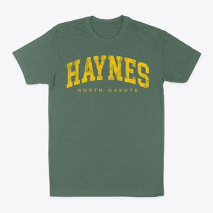 Haynes North Dakota Urban Vibe Classic Dad T-Shirt
