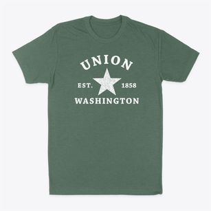 Union Washington Star Classic Dad T-Shirt