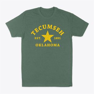 Tecumseh Oklahoma Star Classic Dad T-Shirt