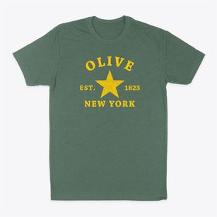 Olive New York Star Classic Dad T-Shirt