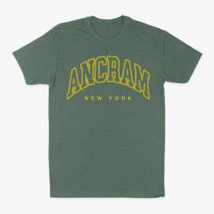 Ancram New York Inline Classic Dad T-Shirt