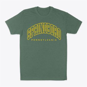 Springboro Pennsylvania Inline Classic Dad T-Shirt