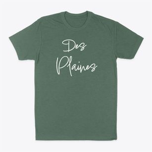 Des Plaines Illinois Freestyle Classic Dad T-Shirt