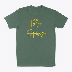 Blue Springs Missouri Freestyle Classic Dad T-Shirt