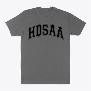 Hebrew Day School Of Ann Arbor Varsity Arch Classic Dad T-Shirt