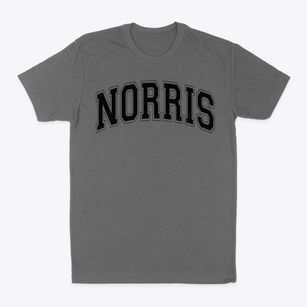 Norris Elementary School Varsity Arch Classic Dad T-Shirt