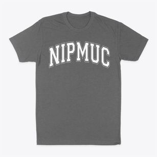 Nipmuc Regional High School Varsity Arch Classic Dad T-Shirt