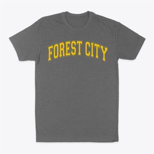 Forest City High School Varsity Arch Classic Dad T-Shirt