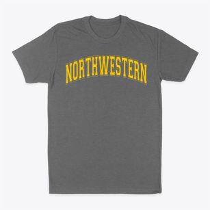 Northwestern Middle School Varsity Arch Classic Dad T-Shirt