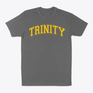 Trinity Episcopal Academy Varsity Arch Classic Dad T-Shirt