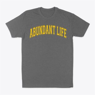 Abundant Life Christian Academy Varsity Arch Classic Dad T-Shirt