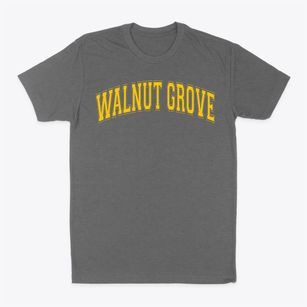 Walnut Grove Christian School Varsity Arch Classic Dad T-Shirt
