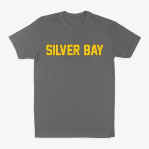 Silver Bay Minnesota Classic Block Classic Dad T-Shirt