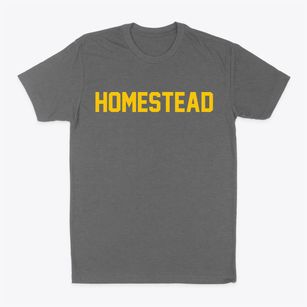 Homestead New Mexico Classic Block Classic Dad T-Shirt