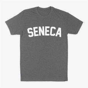Seneca Missouri Classic Curve Classic Dad T-Shirt