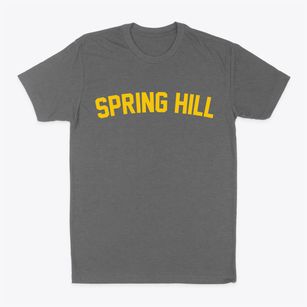 Spring Hill Tennessee Classic Curve Classic Dad T-Shirt