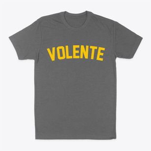 Volente Texas Classic Curve Classic Dad T-Shirt