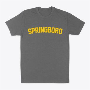 Springboro Ohio Classic Curve Classic Dad T-Shirt